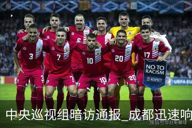 中央巡视组暗访通报 成都迅速响应立案拟顶格处罚