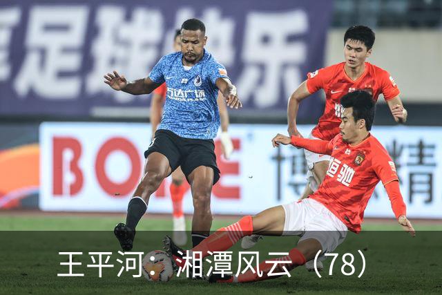 王平河：湘潭风云（7/8）